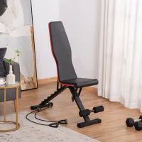 Soozier Adjustable Workout Bench, Foldable Weight Bench with Leg Extension and Preacher Pad, 264LBS Weight Capacity, for Home Gym, Black and Red(m-8)