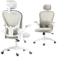 Vinsetto Office Chair, Mesh Computer Desk Chair with Adjustable Headrest, 4D Lumbar Support, Flip-up Arm, Grey(m-11)