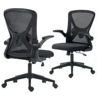 Vinsetto Mesh Office Chair, Swivel Desk Chair with Lumbar Back Support, Adjustable Height, Flip-Up Arm, Black(m-13)