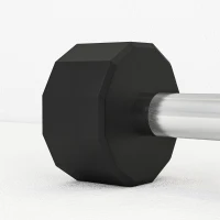Soozier 2 x 22lbs Dumbbell Set, Rubber Weights Exercise Fitness Dumbbells with Non-Slip Handles, Anti-roll, for Women or Men Home Gym Workout(m-10)