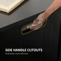 HOMCOM Large Storage Box Storage Trunk Cabinet Container with Lid and 2 Safety Hinges, Black(m-6)