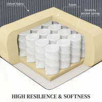 HOMCOM Power Lift Recliner Chair with Massage and Heat for Elderly, Electric Lift Chair with Remote Controllers(m-6)