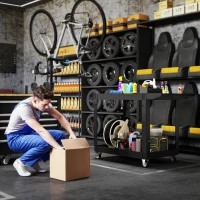 HOMCOM 2-Tier Rolling Tool Cart with Wheels, 500 LBS Capacity Plastic Utility Cart with Handle for Garage, Warehouse, Black(m-7)