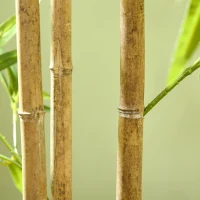 HOMCOM Set of 2 6ft Artificial Tree, Indoor Fake Bamboo with Pot, for Home Office Living Room Decor(m-10)