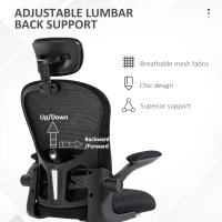 Vinsetto Office Chair, Mesh Computer Desk Chair with Adjustable Headrest, 4D Lumbar Support, Flip-up Arm, Black(m-5)