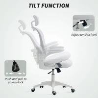 Vinsetto Office Chair, Mesh Computer Desk Chair with Adjustable Headrest, 4D Lumbar Support, Flip-up Arm, White(m-5)