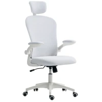 Vinsetto Office Chair, Mesh Computer Desk Chair with Adjustable Headrest, 4D Lumbar Support, Flip-up Arm, White(m-2)