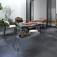 Outsunny Stainless Steel Portable Charcoal Grill, Folding BBQ Grill with Shelf, Side Basket and Pan for Cooking, Camping, Travel(m-10)