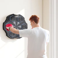Soozier Music Boxing Machine for Adults, Wall Mounted Music Punching Machine with 9 Speeds & Modes, LED Lights(m-1)