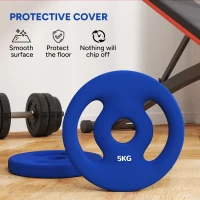 Soozier 2 x 11lbs Standard Weight Plates with Easy-Grip Handles, 1" Holes, for Home, Gym, Weight Lifting and Strength Training(m-6)