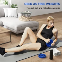 Soozier 2 x 11lbs Standard Weight Plates with Easy-Grip Handles, 1" Holes, for Home, Gym, Weight Lifting and Strength Training(m-4)