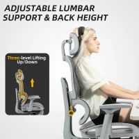 HOMCOM Mesh Office Chair with 3D Armrest, High Back Desk Chair with Lumbar Support, 135° Reclining, Adjustable Headrest, Grey(m-9)