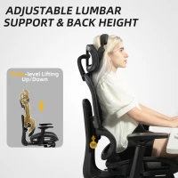HOMCOM Mesh Office Chair with 3D Armrest, High Back Desk Chair with Lumbar Support, 135° Reclining, Adjustable Headrest, Black(m-9)