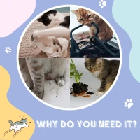 PawHut 39" Long Cat Tunnel, Plush Catio Outdoor Cat Enclosure with Two Caves and Hanging Ball, Cream White(m-7)