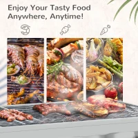Outsunny Charcoal Barbecue Grill Stainless Steel Small Portable Folding BBQ Camping Grill for Shish Kabob(m-6)