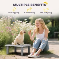 PawHut Wooden Dog Training Place Board, Dog Training Platform with Ladder, Pet Agility System for Indoor Outdoor, Gray(m-5)