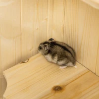 PawHut 5-Tier Wooden Hamster Cage Mice Habitat Rat Habitat with Openable Top, Front Door and Storage Shelf(m-8)