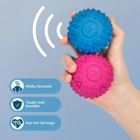 Tough Dog Toys for Aggressive Chewers, 4-Pack, Squeaky Non-Toxic Spiky Ball for Dental Health, 2.5" L x 2.5" W x 2.5" H, Multicolor(m-5)