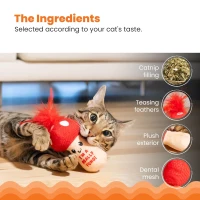 Catstages Mushroom Kicker Toy with Catnip, Dental Mesh, Plush and Feather Cat Toy for Kicking, Tossing, Teeth Cleaning, 3" L x 3" W x 5" H, Red(m-6)