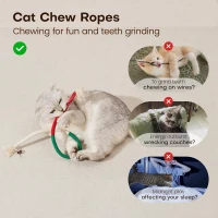 3-Pack Cat Chew Toys with Refillable Natural Catnip, Safe Teeth Cleaning, Interactive Play for All Breeds, 0.5" L x 0.5" W x 19.5" H, Multicolor(m-6)