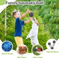 Tough Chew Toys with Teeth Cleaning Texture, High Elasticity, Squeaky Dog Balls for Aggressive Chewers, 3" L x 3" W x 3" H, Black(m-9)