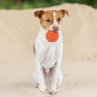 Tough Dog Toys for Aggressive Chewers, 4-Pack, Squeaky Non-Toxic Spiky Ball for Dental Health, 2.5" L x 2.5" W x 2.5" H, Multicolor(m-1)