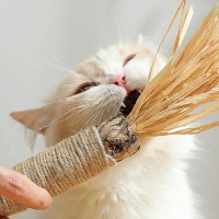 4-Piece Interactive Catnip Toys with Refillable Natural Catnip Bag, Cat Toys Chew Rope and Silvervine Sticks for Teeth Cleaning, Multicolor(m-1)