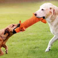 Squeaky Plush Dog Toy for All Breeds, Water Bottle Compatible, No Stuffing Crinkle Interactive Chew Toy, 9" L x 1" W x 18" H, Orange(m-1)