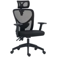 Vinsetto Ergonomic Office Chair, Mesh Desk Chair with Adjustable Headrest, Reclining Backrest, Swivel Wheels, Black(m-11)