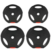 Soozier 1-Inch Weight Plates, Barbell Weights Set for Weightlifting and Strength Training, 2 x 22lbs + 2 x 11lbs(m-11)