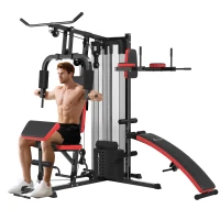 Soozier Multi Home Gym Equipment, Workout Station with Sit up Bench, Push up Stand, Dip Station, 99lbs Weights(m-11)