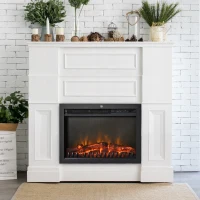 HOMCOM 24" Electric Fireplace Insert, Retro Recessed Fireplace Heater with Realistic Flame, Remote Control and Adjustable Brightness, 750/1500W, Black(m-2)