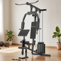 Soozier Multifunction Home Gym System, Workout Station with 99Lbs Weight Stack, for Full Body Exercise(m-9)