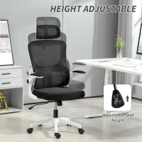 Vinsetto High Back Office Chair, Mesh Computer Desk Chair with Rotatable Headrest, Lumbar Back Support, Adjustable Height, Black(m-4)