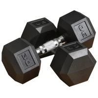 Soozier Rubber Dumbbells Weight Set, Total 60lbs, 30lbs Each, Dumbbell Hand Weight for Body Fitness Training for Home Office Gym, Black(m-2)