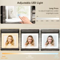 HOMCOM Vanity Desk Set with Mirror and Lights, Cushioned Stool, Storage Drawer, Cabinet, Shelves for Bedroom, Gray(m-6)