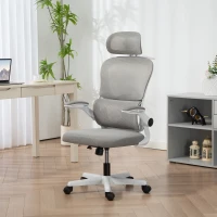 HOMCOM Mesh Office Chair, Ergonomic Desk Chair with Flip-up Armrest, Rotatable Headrest, Adjustable Lumbar Support, Grey(m-8)