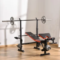 Soozier Adjustable Weight Bench for Weight Lifting and Strength Training(m-1)