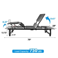 Adjustable Queen Bed Base Frame with Head and Foot Incline, Wireless Remote, Zero Gravity, Quiet Motor, 79" L x 59" W x 13" H, Black(m-3)