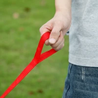 Qaba Kids Wiggle Car w/ Parent Traction Rope, Music, Light, Pink(m-10)