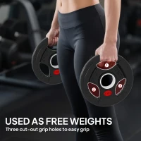 Soozier Weight Plates Set, 2-Inch Barbell Weights Set w/Tri-Grips for Weightlifting and Strength Training, 2 x 6lbs, 2 x 11lbs(m-4)