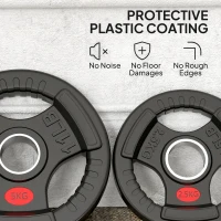 Soozier Weight Plates Set, 2-Inch Barbell Weights Set w/Tri-Grips for Weightlifting and Strength Training, 2 x 6lbs, 2 x 11lbs(m-6)