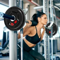 Soozier Weight Plates Set, 2-Inch Barbell Weights Set w/Tri-Grips for Weightlifting and Strength Training, 2 x 6lbs, 2 x 11lbs(m-7)