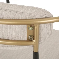 Set of 2 Modern Dining Chairs with Iron Frame and Gold Accent, Dining Seats for Ultimate Comfort and Style, 23" L x 22" W x 31.5" H, Beige(m-5)