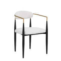 Set of 2 Modern Dining Chairs with Iron Frame and Curved Backrest, Dining Seats for Ultimate Comfort and Style, 23" L x 22" W x 31.5" H, Beige(m-7)