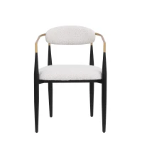 Set of 2 Modern Dining Chairs with Iron Frame and Curved Backrest, Dining Seats for Ultimate Comfort and Style, 23" L x 22" W x 31.5" H, Beige(m-6)