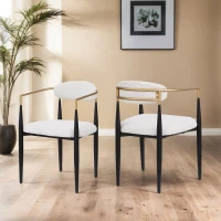Set of 2 Modern Dining Chairs with Iron Frame and Curved Backrest, Dining Seats for Ultimate Comfort and Style, 23" L x 22" W x 31.5" H, Beige(m-1)