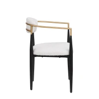 Set of 2 Modern Dining Chairs with Iron Frame and Curved Backrest, Dining Seats for Ultimate Comfort and Style, 23" L x 22" W x 31.5" H, Beige(m-8)