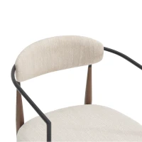 Set of 2 Modern Dining Chairs with Iron Frame and Gold Accent, Dining Seats for Ultimate Comfort and Style, 23" L x 22" W x 31.5" H, Beige+Black(m-4)