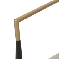 Set of 2 Modern Dining Chairs with Iron Frame and Gold Accent, Dining Seats for Ultimate Comfort and Style, 23" L x 22" W x 31.5" H, Beige(m-6)